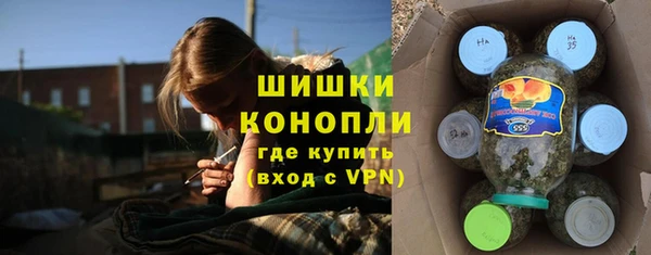 амф Аркадак