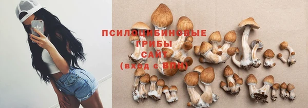 амф Аркадак