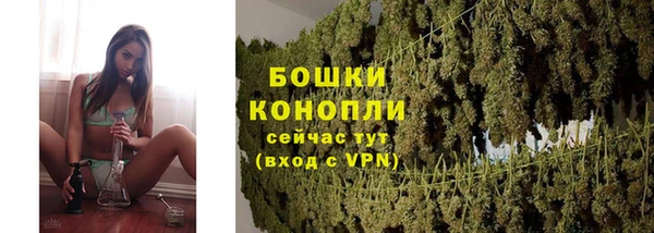 амф Аркадак