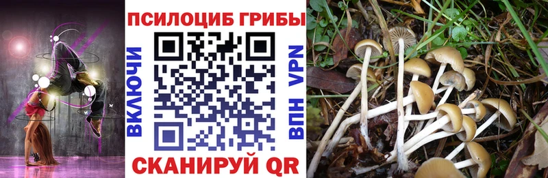 Галлюциногенные грибы GOLDEN TEACHER Звенигово